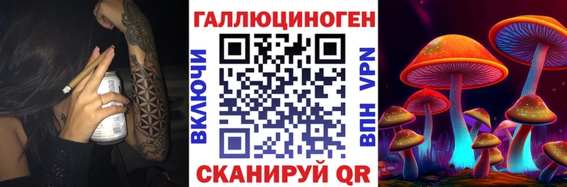 Псилоцибиновые грибы Magic Shrooms  что такое   Кемерово 
